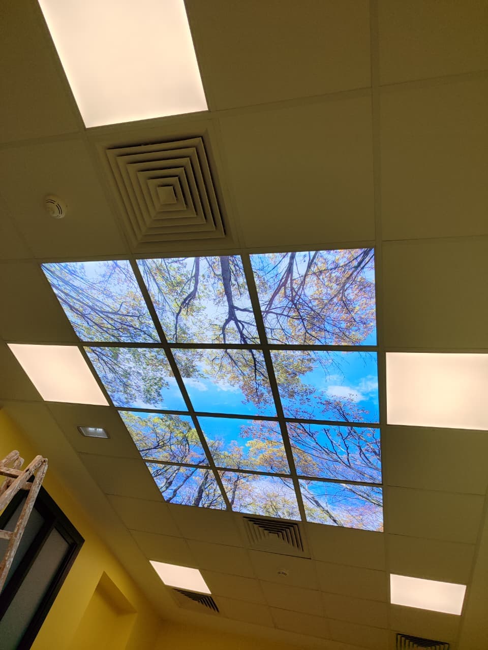 Cadres muraux décoratifs 14