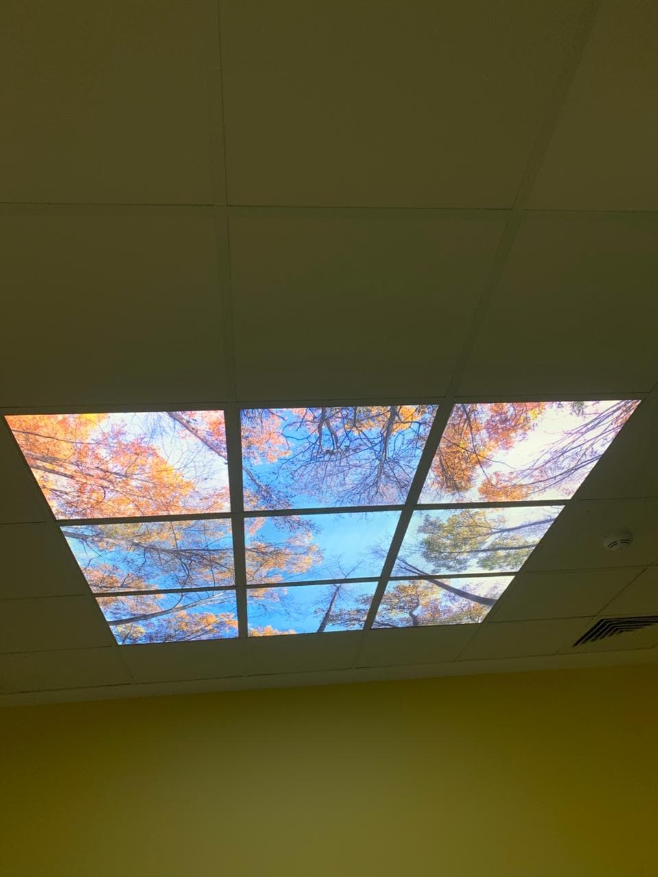 Cadres muraux décoratifs 26