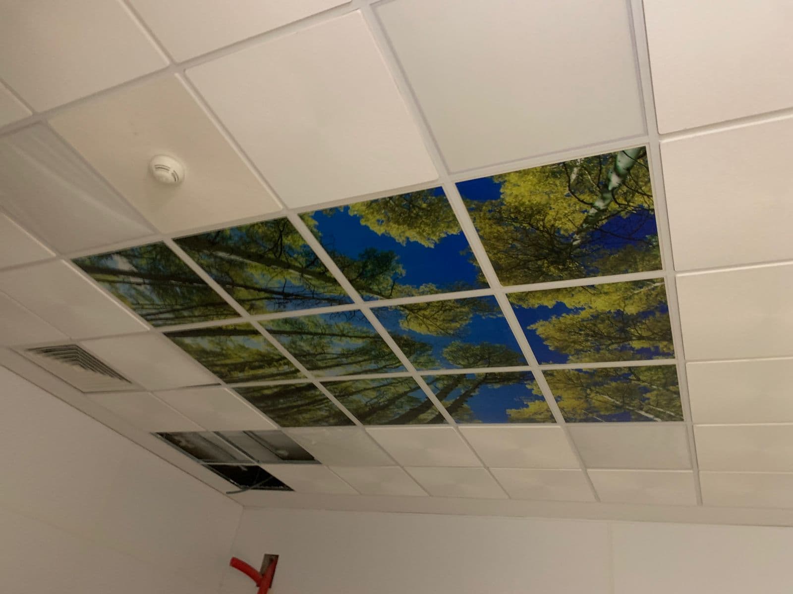 Cadres muraux décoratifs 31