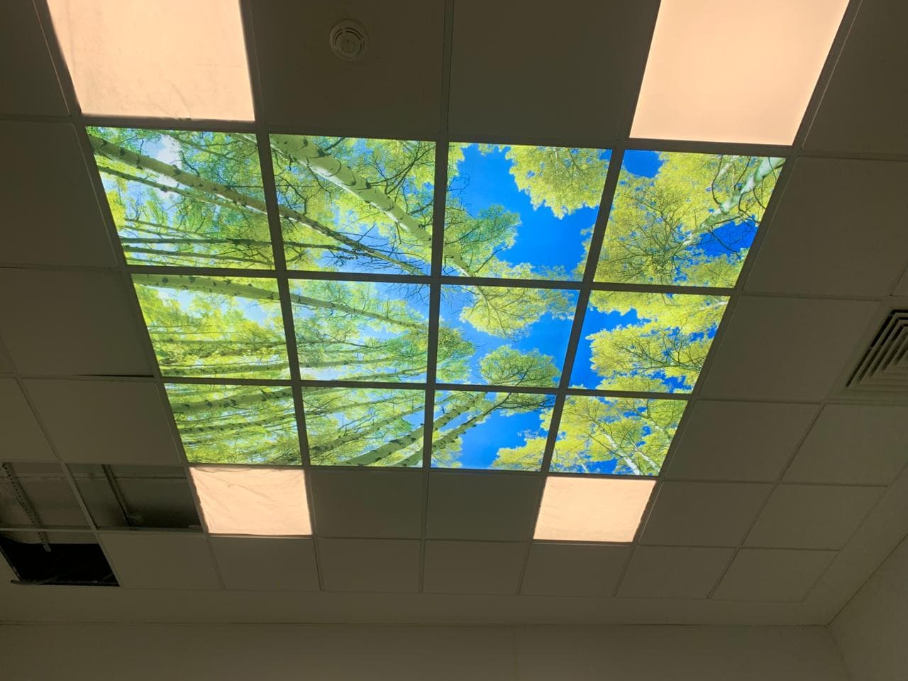 Cadres muraux décoratifs 34