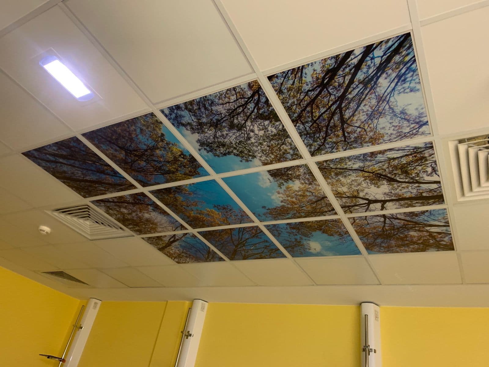 Cadres muraux décoratifs 35