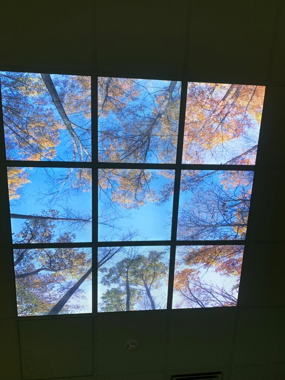 Cadres muraux décoratifs 41