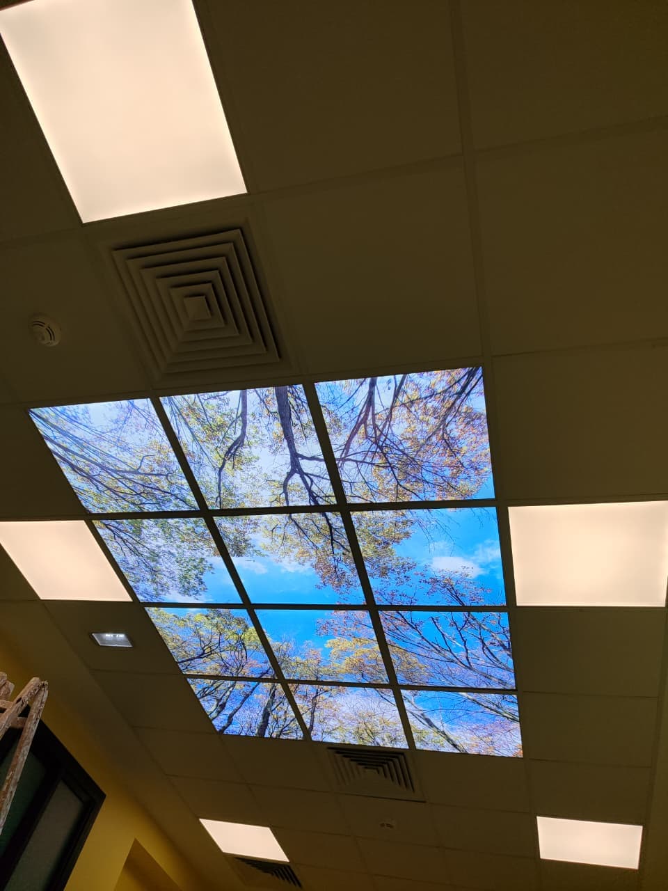 Cadres muraux décoratifs 6