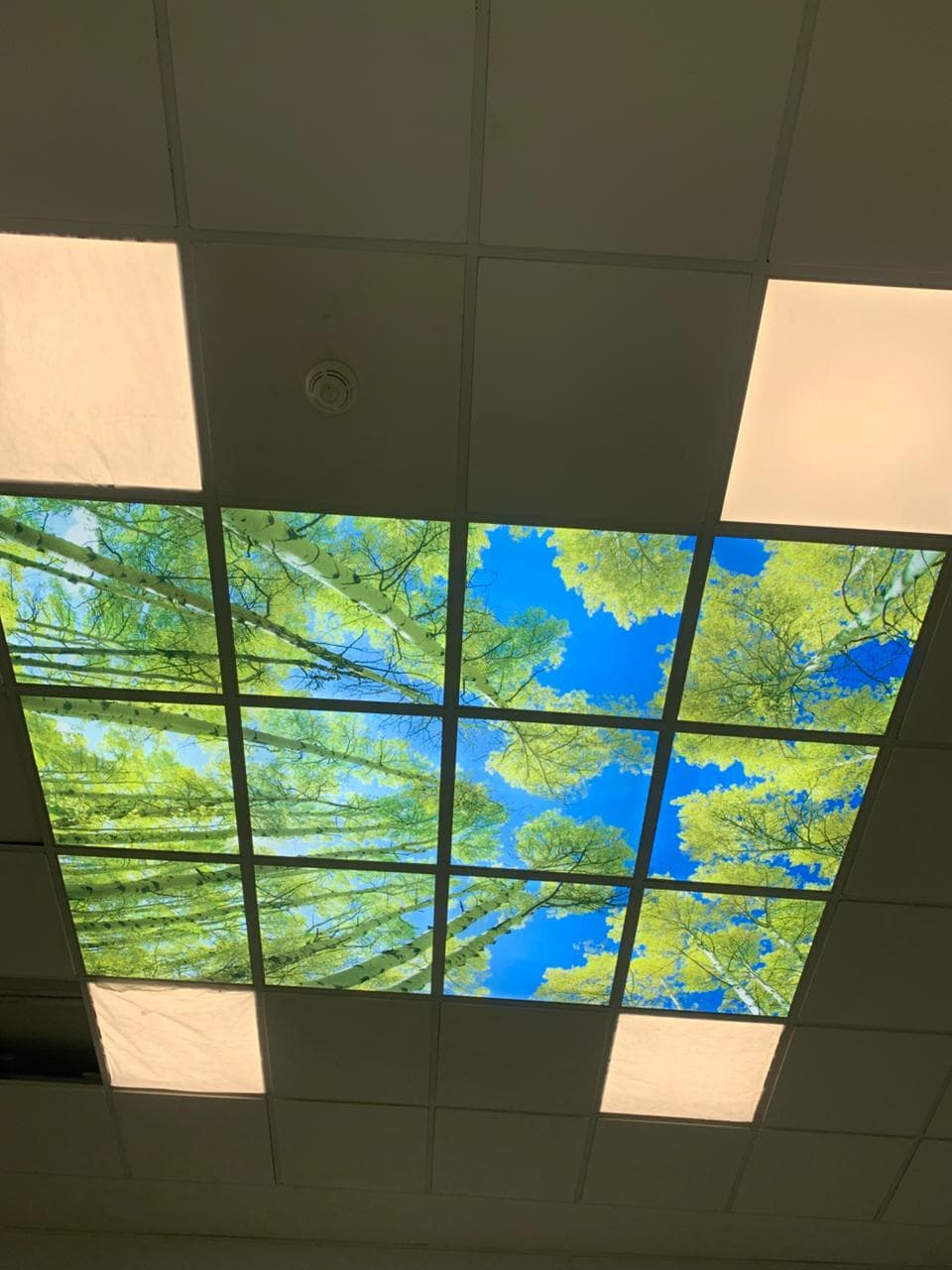 Cadres muraux décoratifs 7